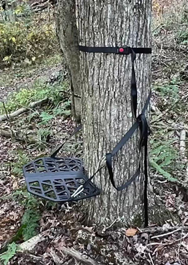 Tree Seat